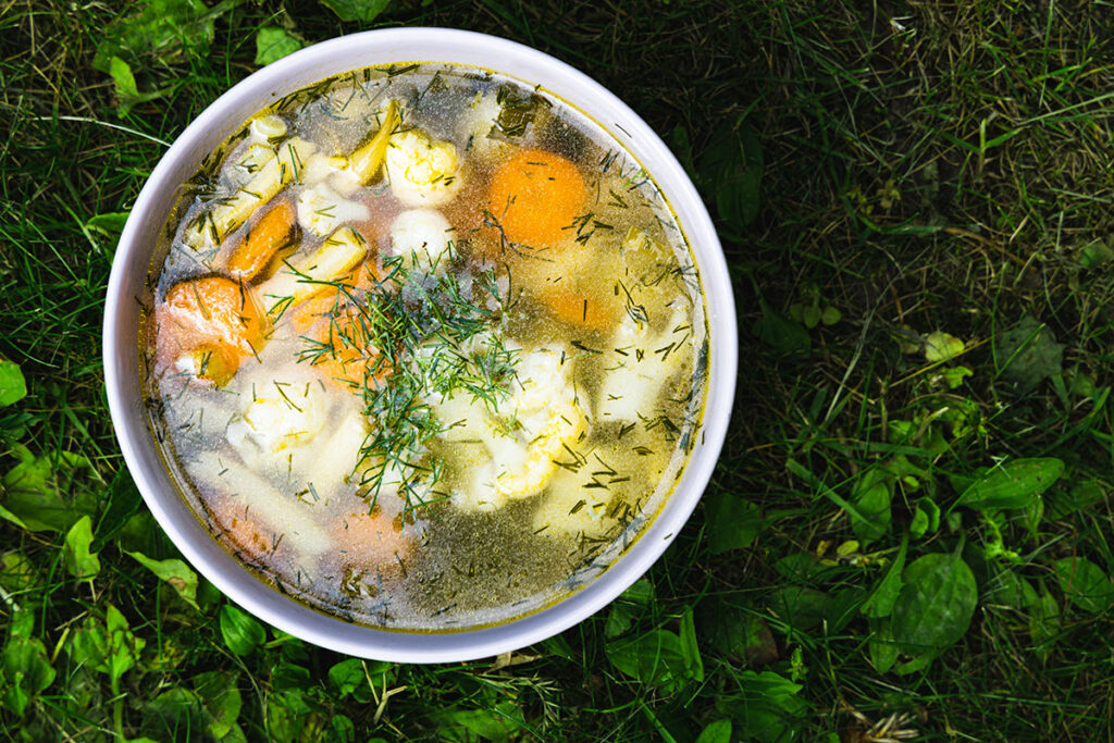 klasyczna zupa jarzynowa