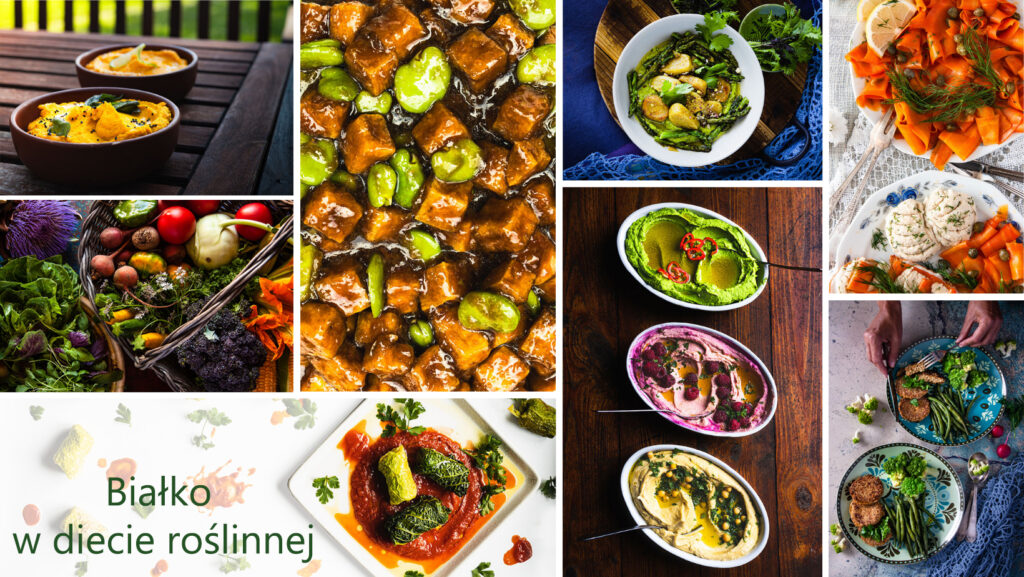 białko w kuchni roślinnej
